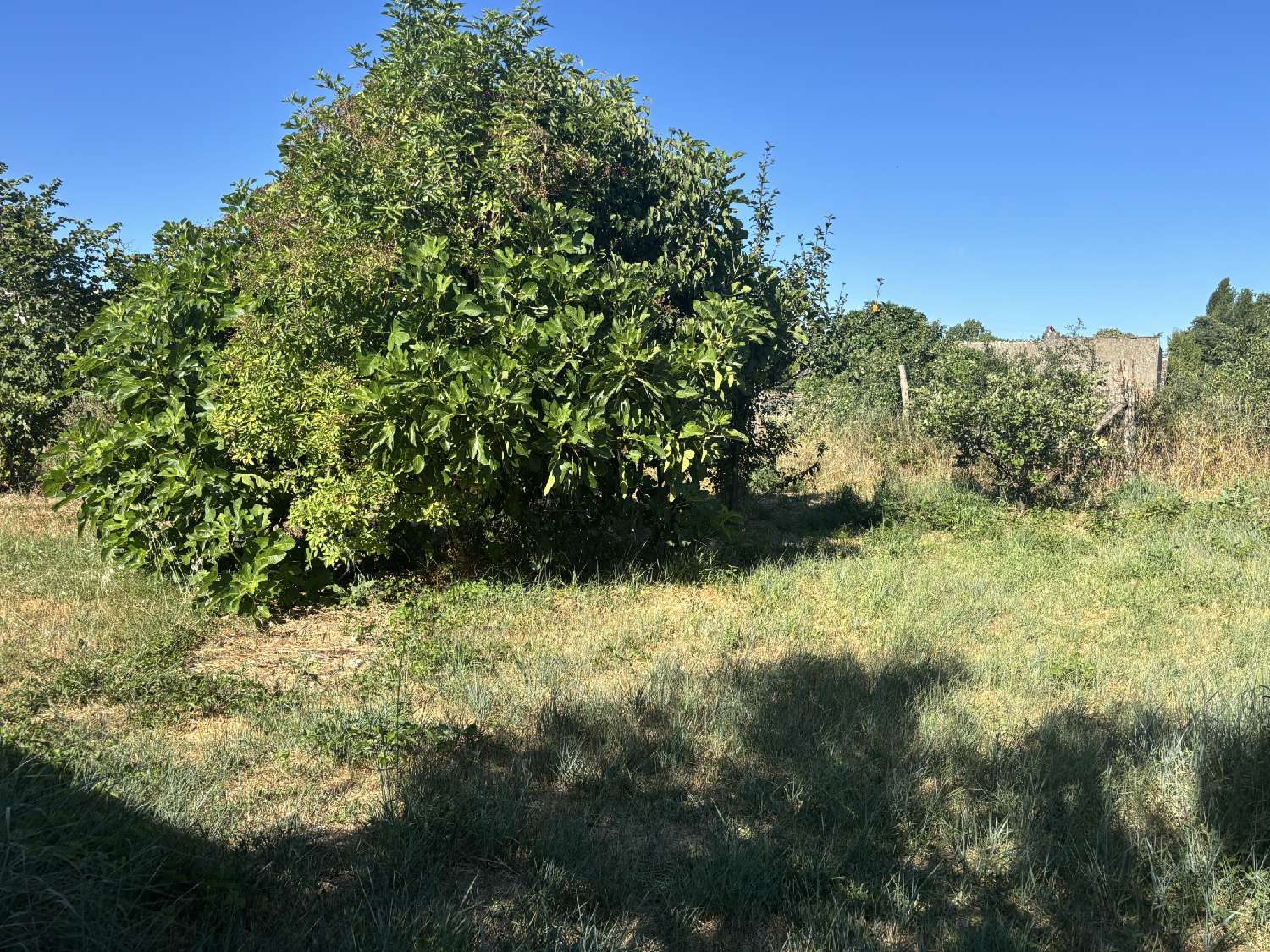  te koop terrein Briatexte Tarn 4
