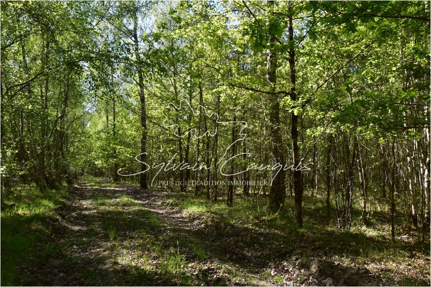  for sale terrain Brinon-sur-Sauldre Cher 2