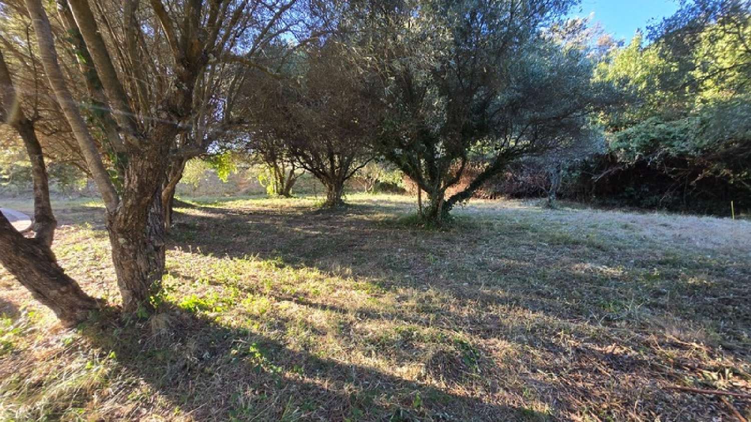  à vendre terrain Castries Hérault 4
