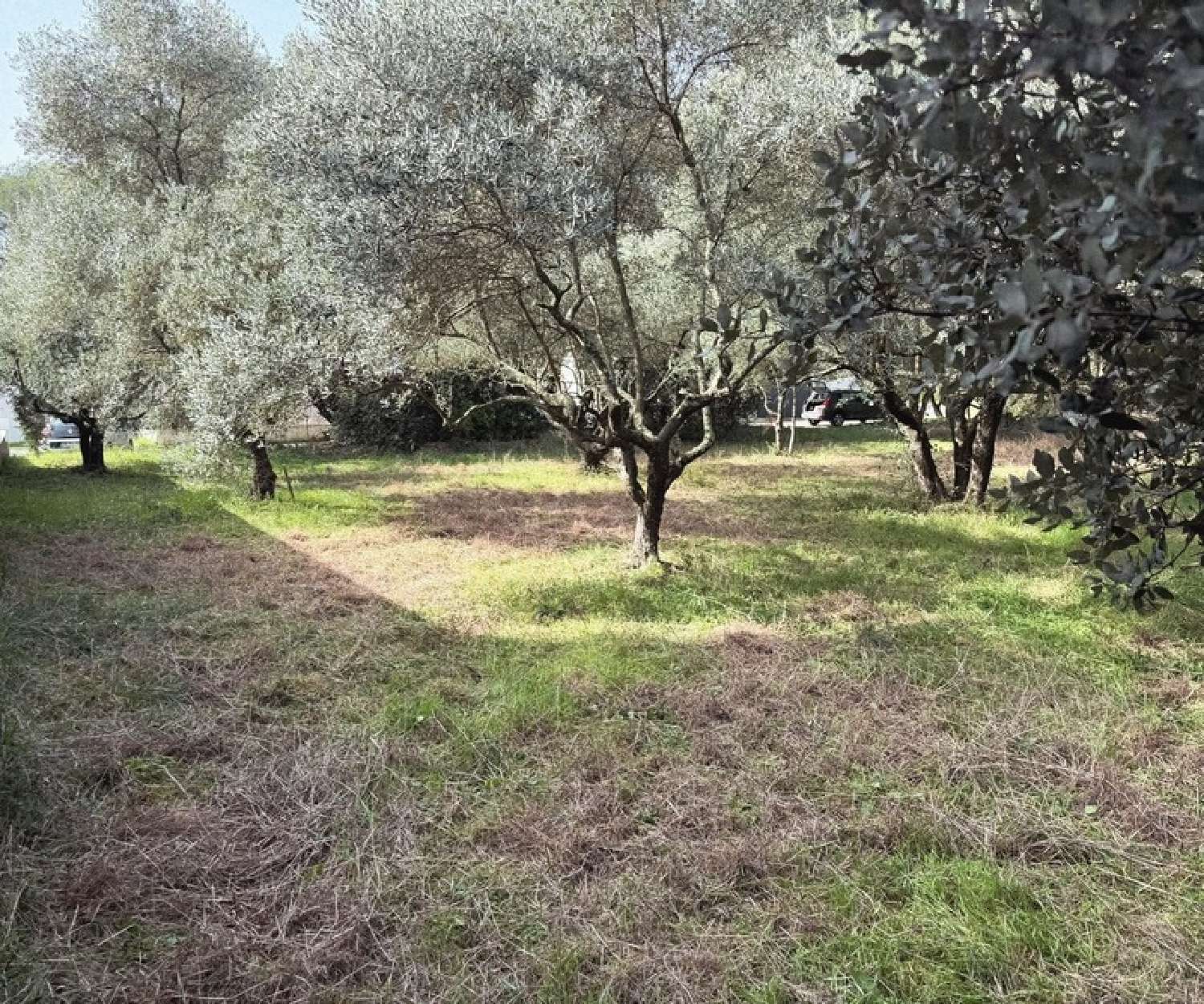  à vendre terrain Castries Hérault 1