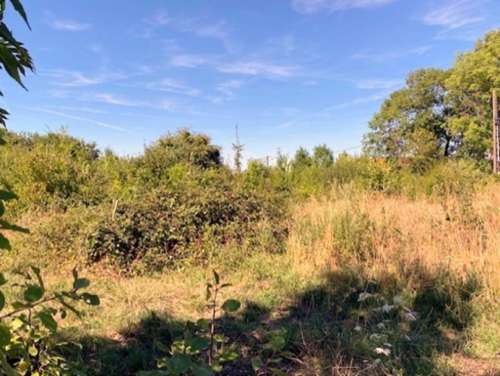 Cerisiers Yonne terrein foto 7391131