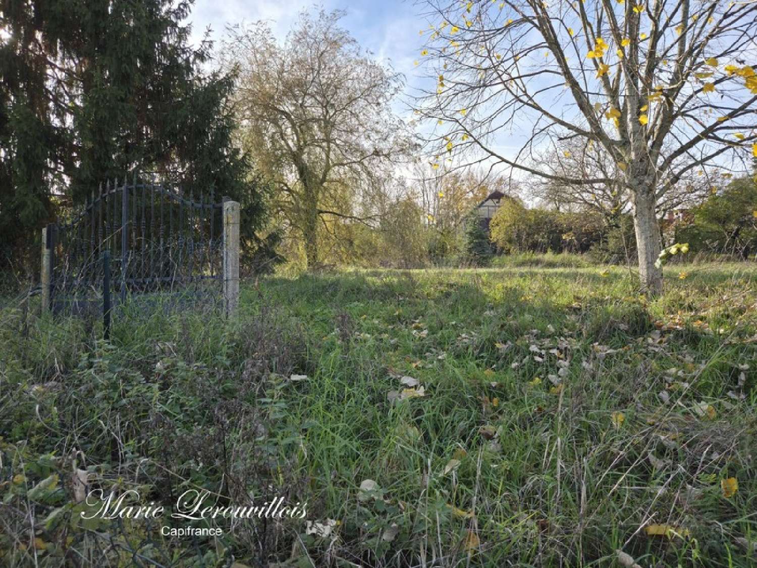  à vendre terrain Chaource Aube 5
