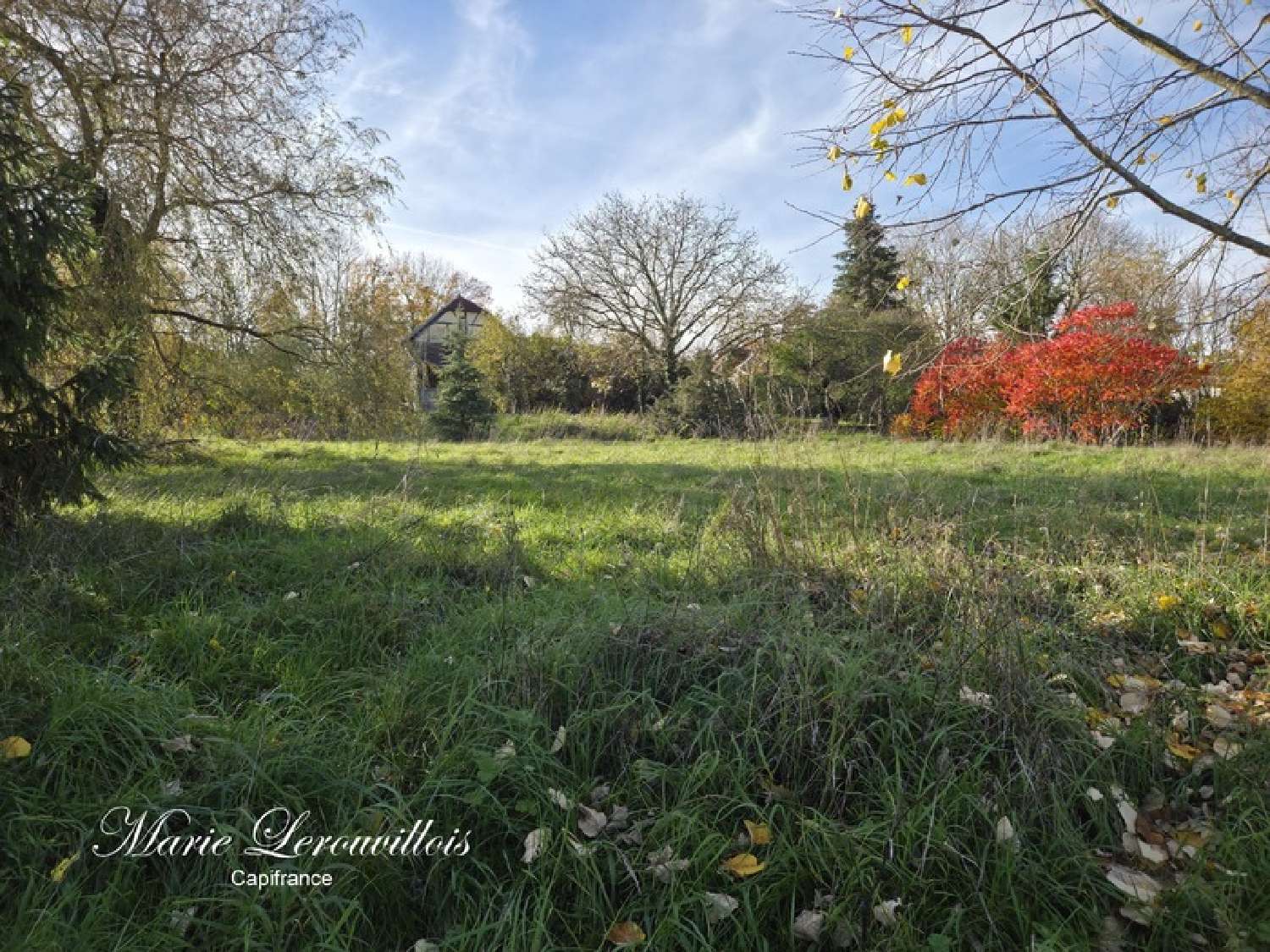  à vendre terrain Chaource Aube 6