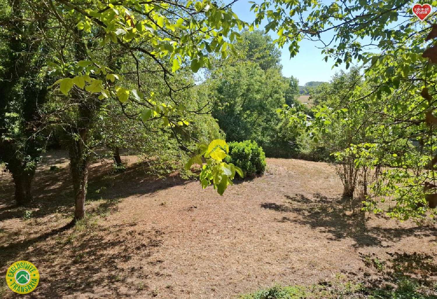 for sale terrain Châteauneuf-sur-Cher Cher 2