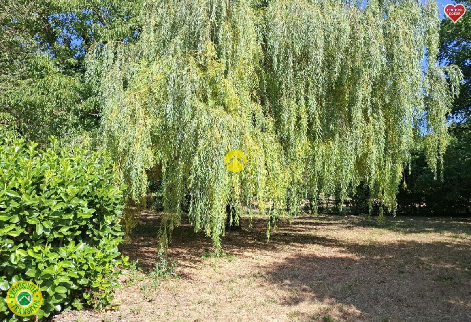 for sale terrain Châteauneuf-sur-Cher Cher 6