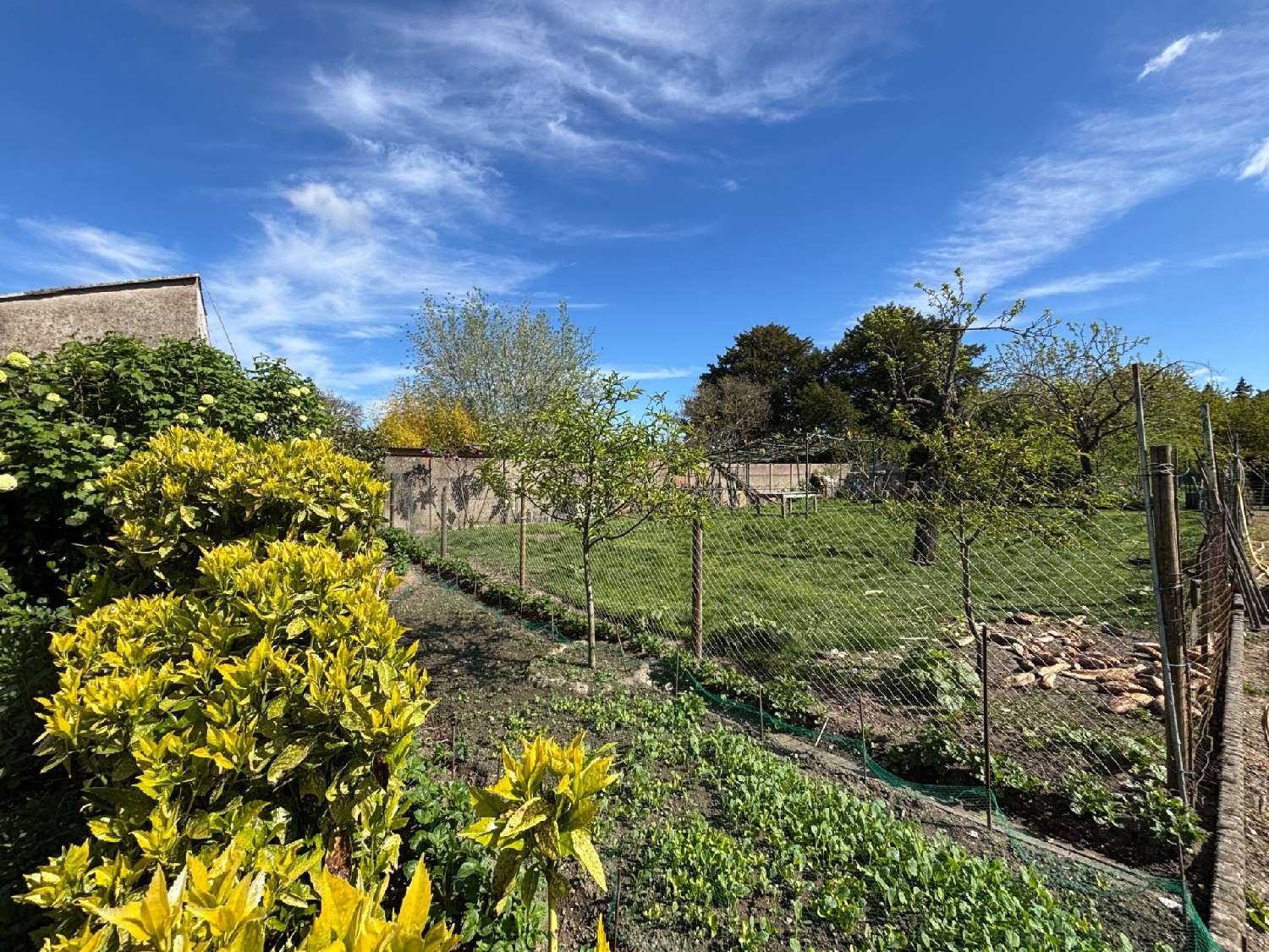  à vendre terrain Chevilly Loiret 3