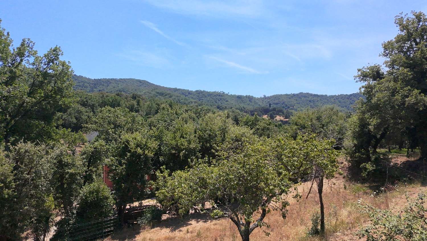 for sale terrain Collobrières Var 2