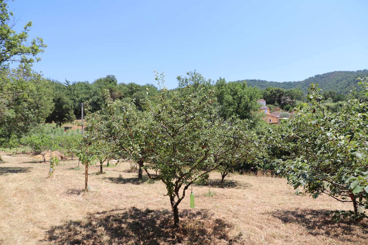 for sale terrain Collobrières Var 4