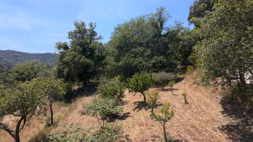 Collobrières Var terrain foto 7401347