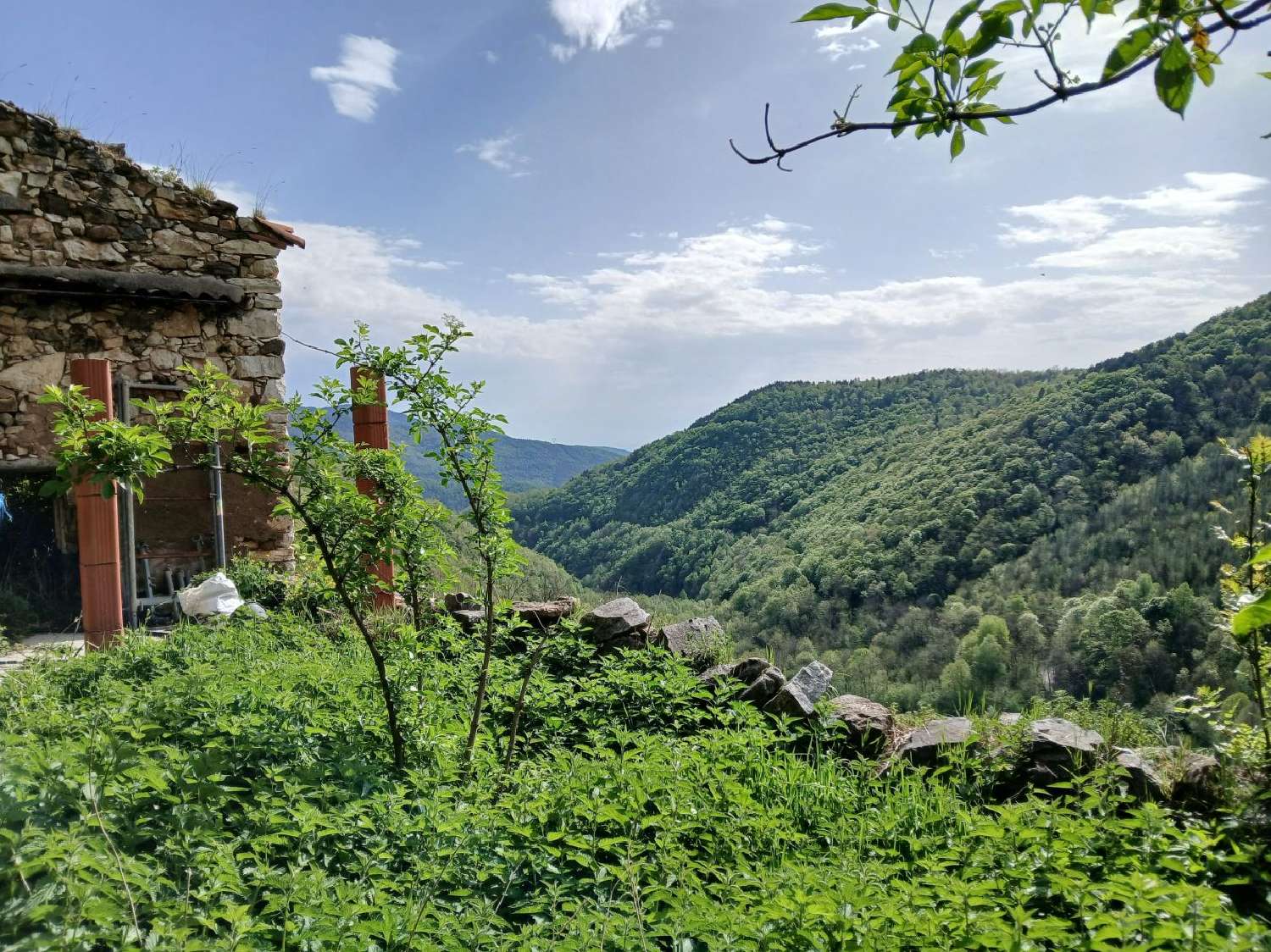 for sale terrain Corsavy Pyrénées-Orientales 2
