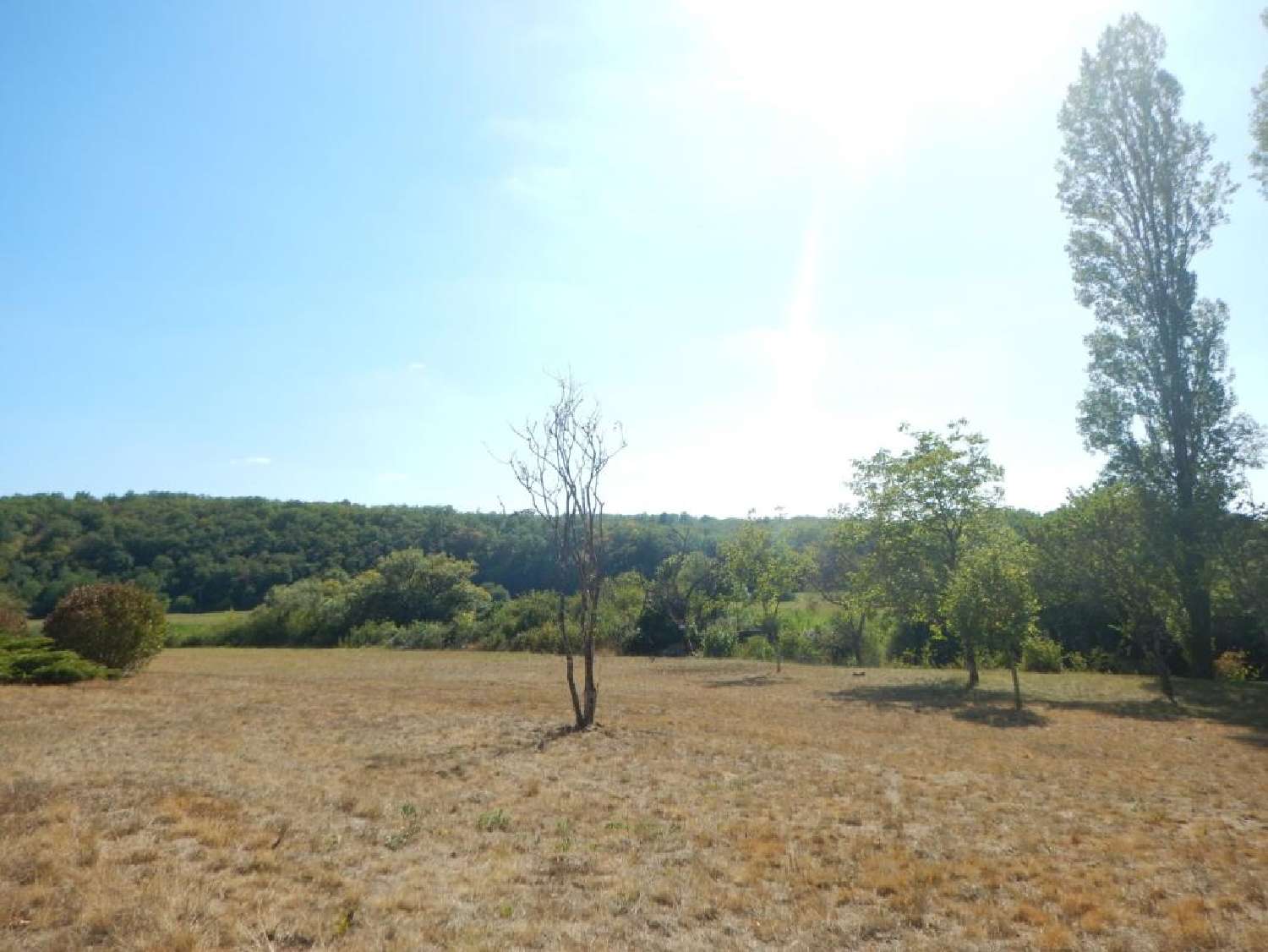  te koop terrein Cubjac Dordogne 2
