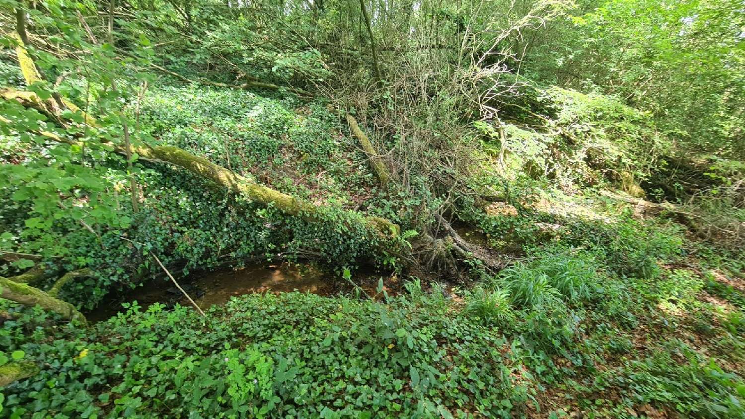  à vendre terrain Dinan Côtes-d'Armor 2