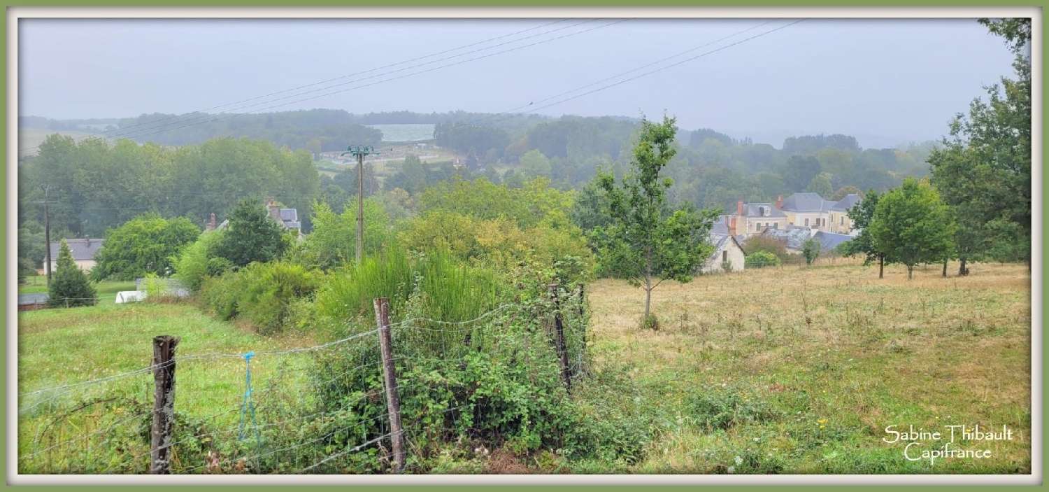  kaufen Grundstück Dissé-sous-le-Lude Sarthe 3
