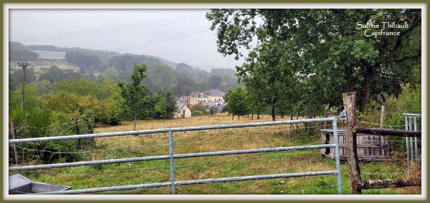  kaufen Grundstück Dissé-sous-le-Lude Sarthe 4