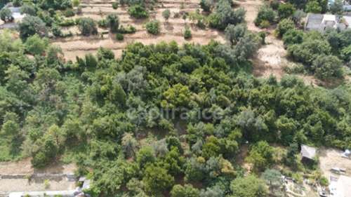 Falicon Alpes-Maritimes terrain foto 7384249