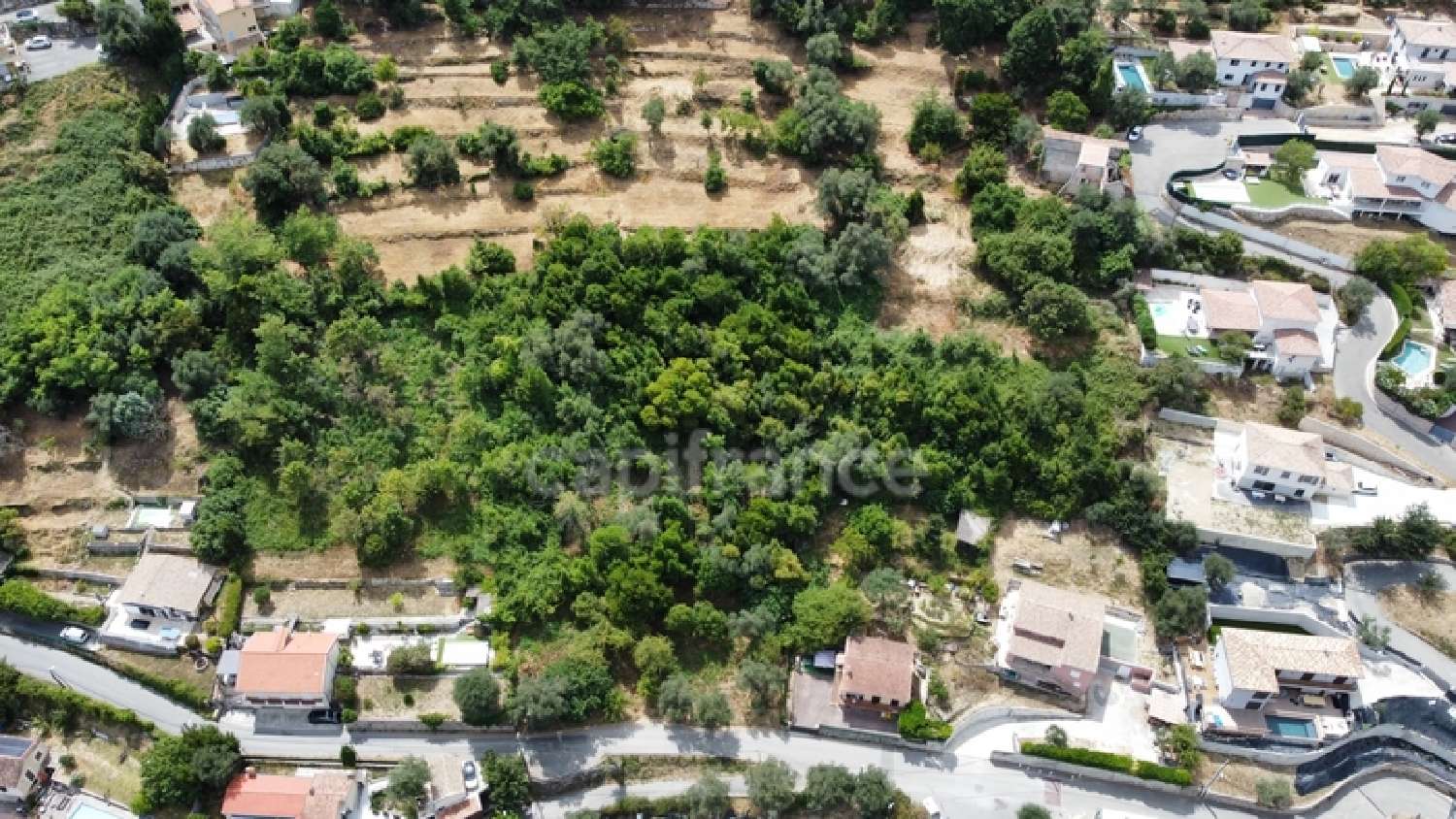  for sale terrain Falicon Alpes-Maritimes 3