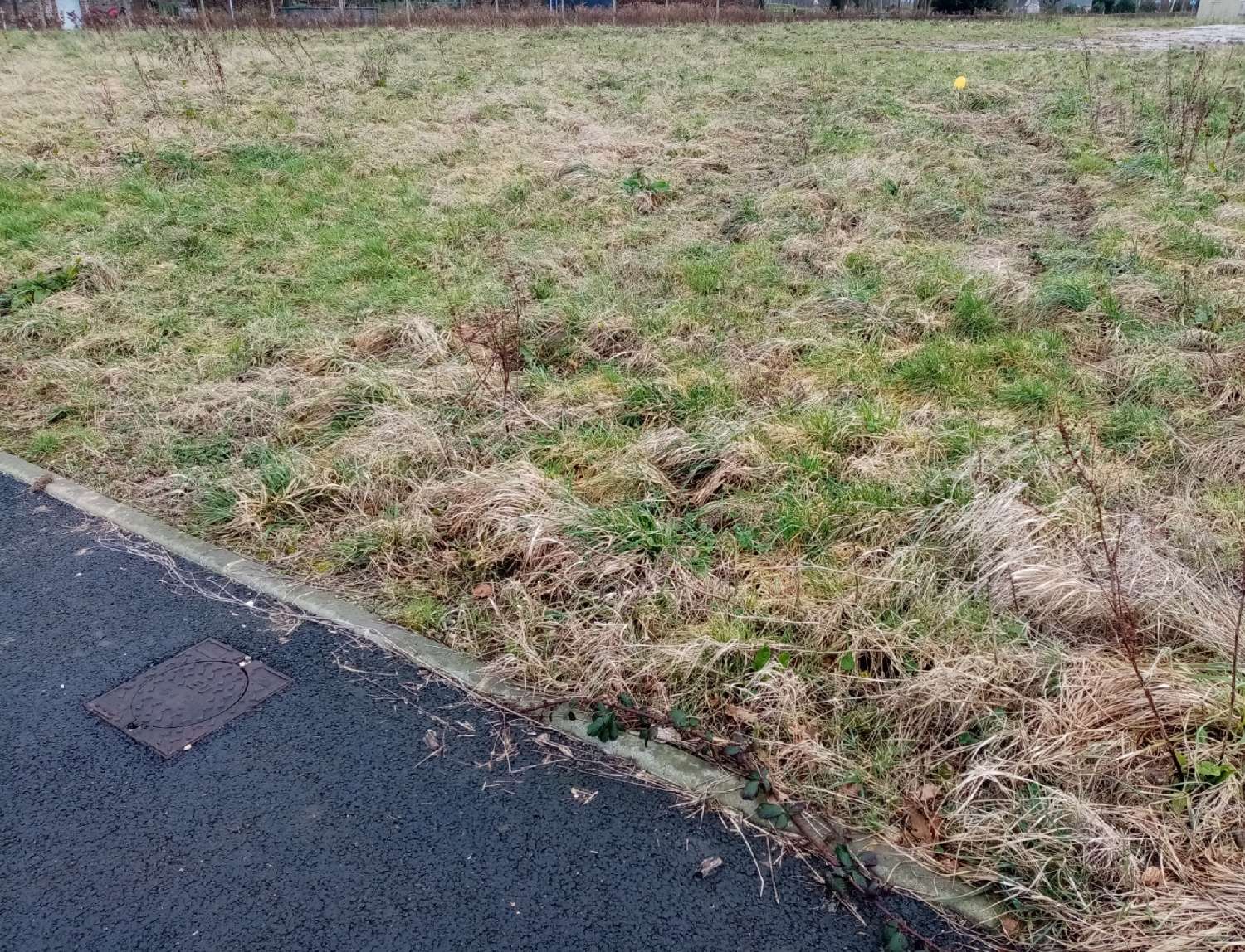  for sale terrain Fauville-en-Caux Seine-Maritime 1