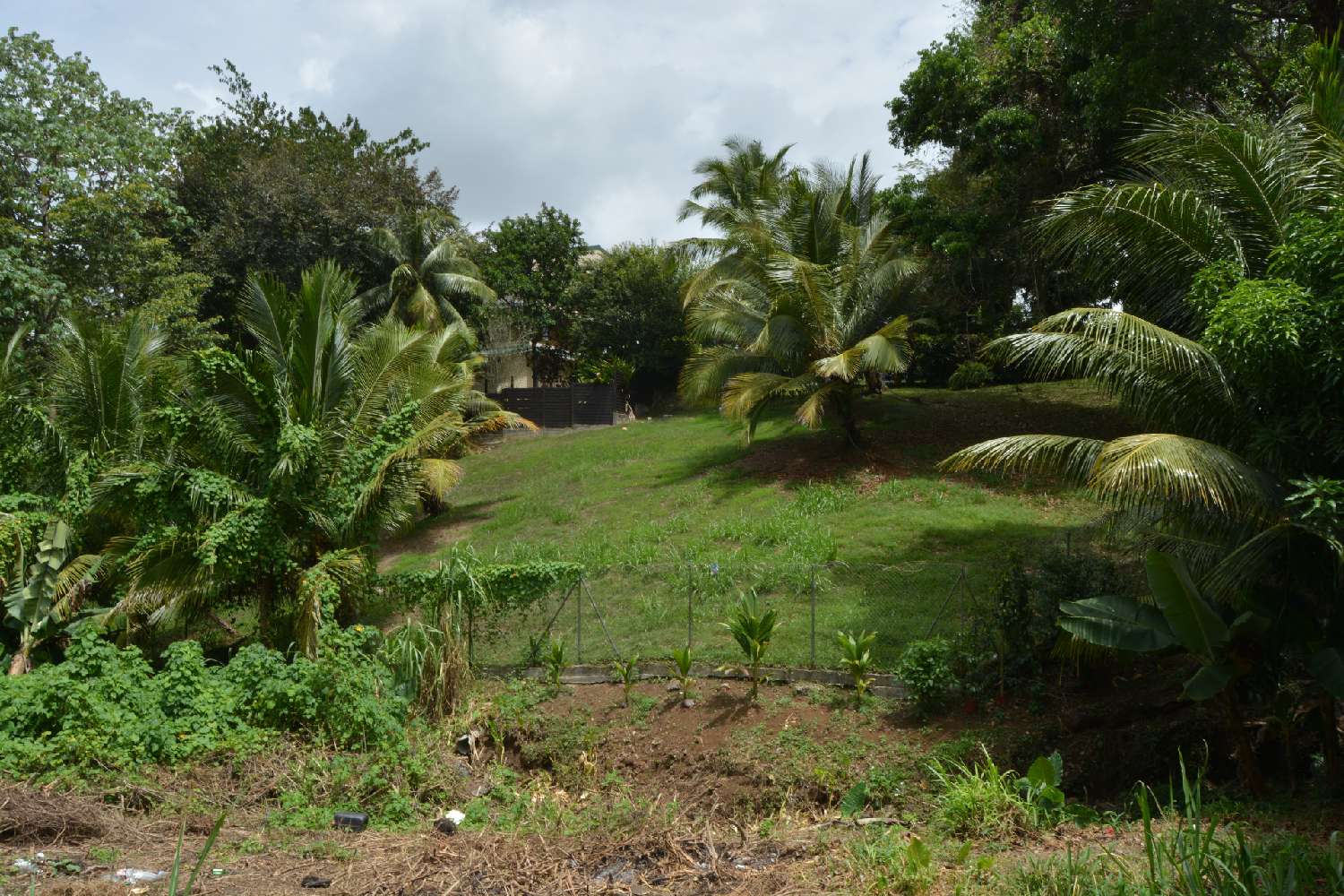 kaufen Grundstück Fort-de-France Martinique 2