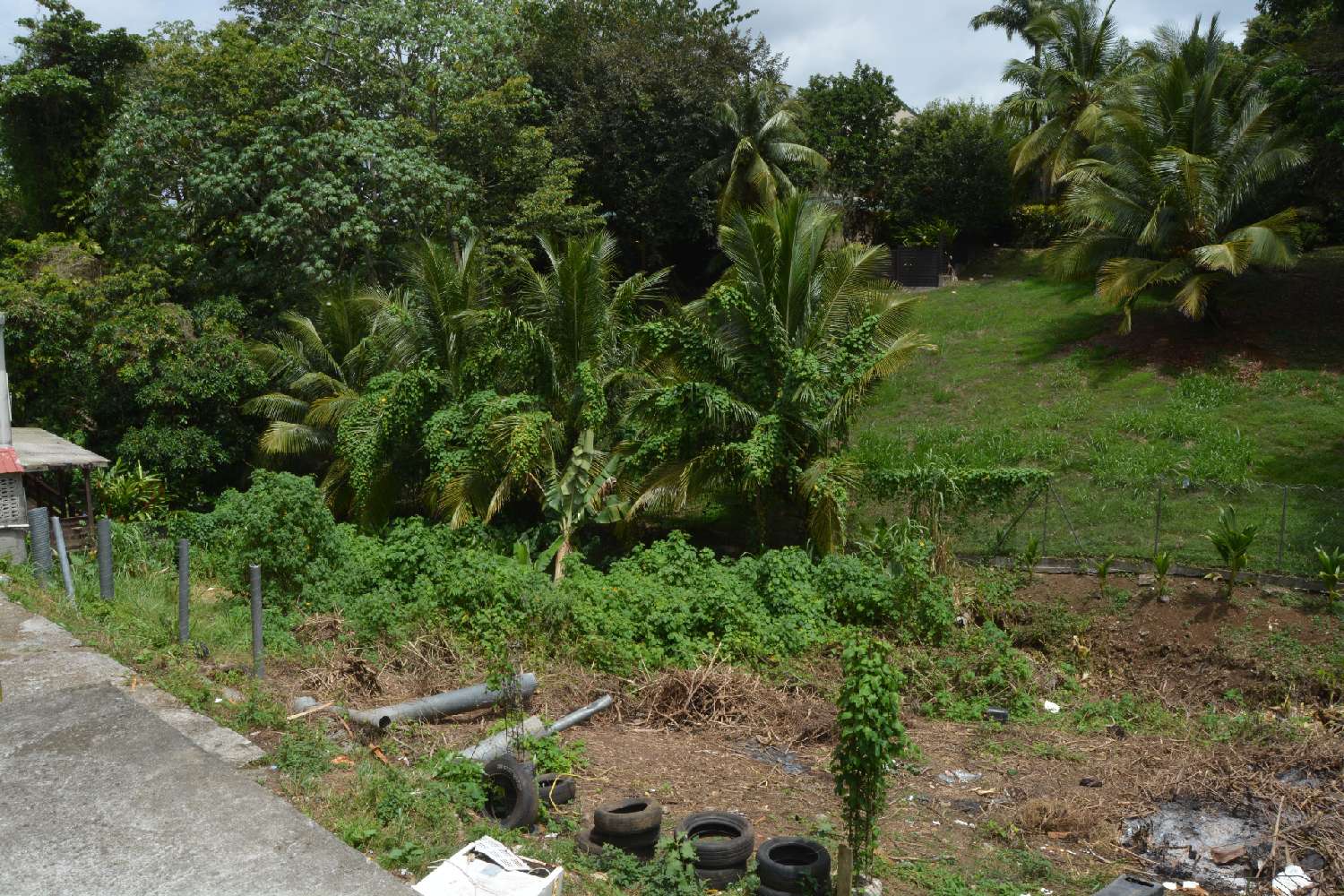 kaufen Grundstück Fort-de-France Martinique 3