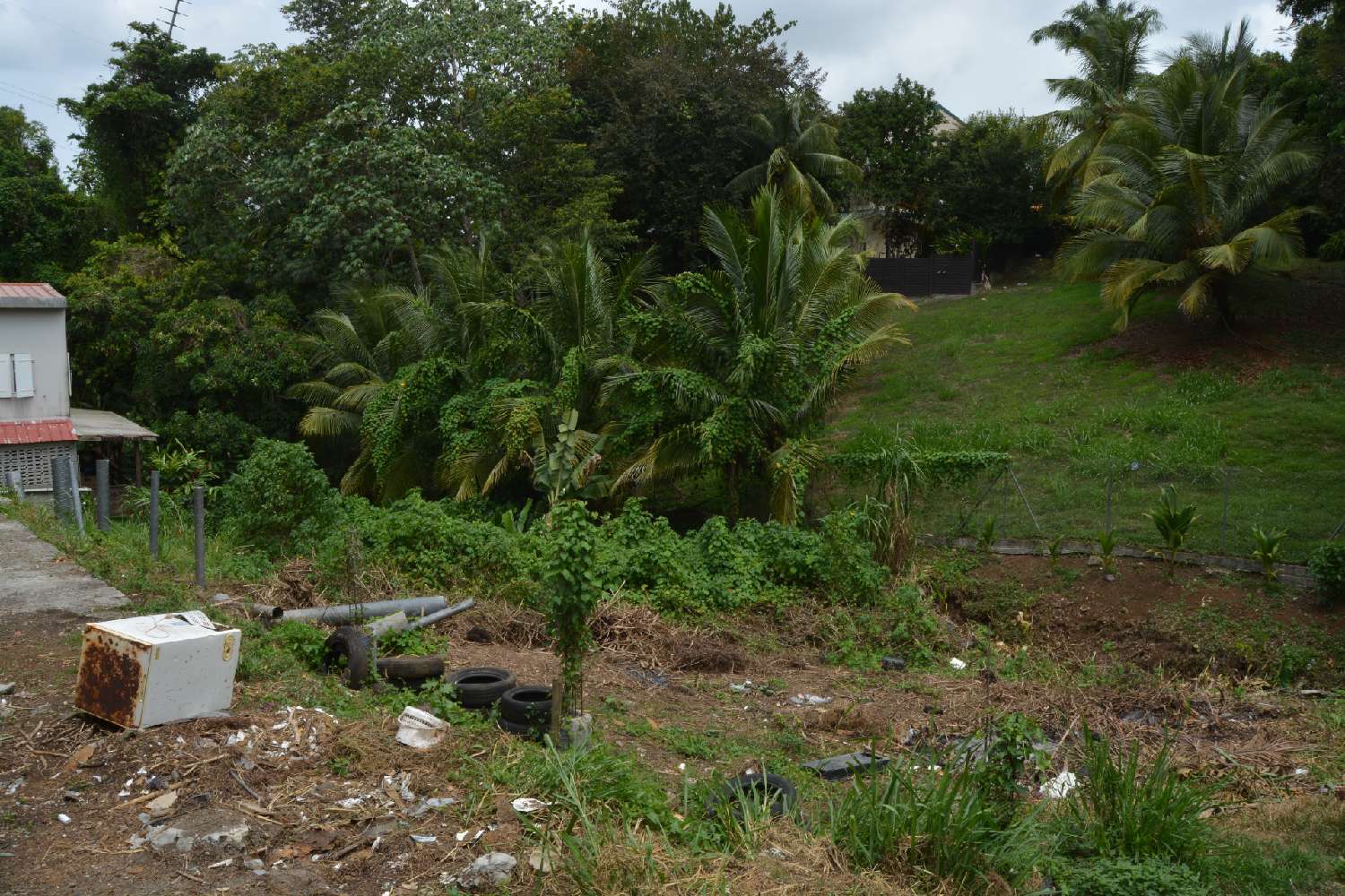 kaufen Grundstück Fort-de-France Martinique 4