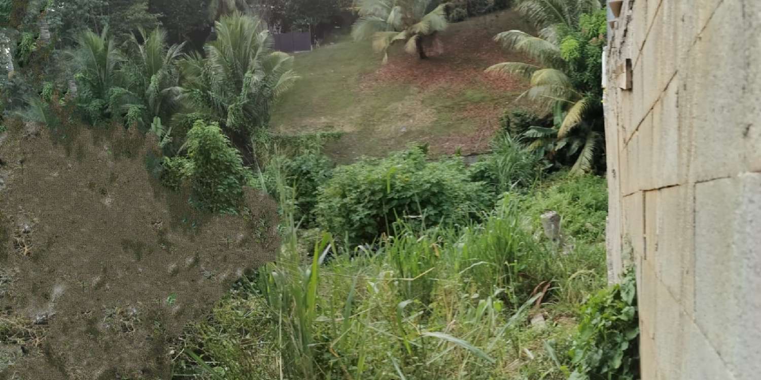 kaufen Grundstück Fort-de-France Martinique 6
