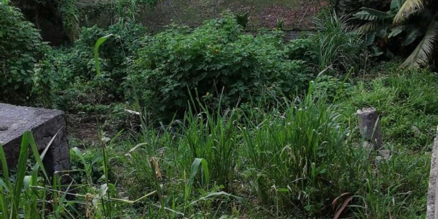 kaufen Grundstück Fort-de-France Martinique 7