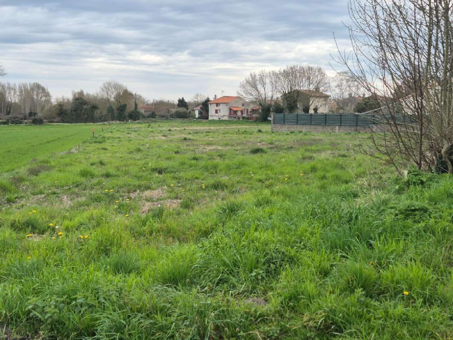  kaufen Grundstück Frontenay-Rohan-Rohan Deux-Sèvres 1