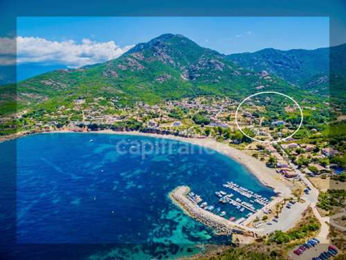 Galeria Haute-Corse Grundstück Bild 7389336
