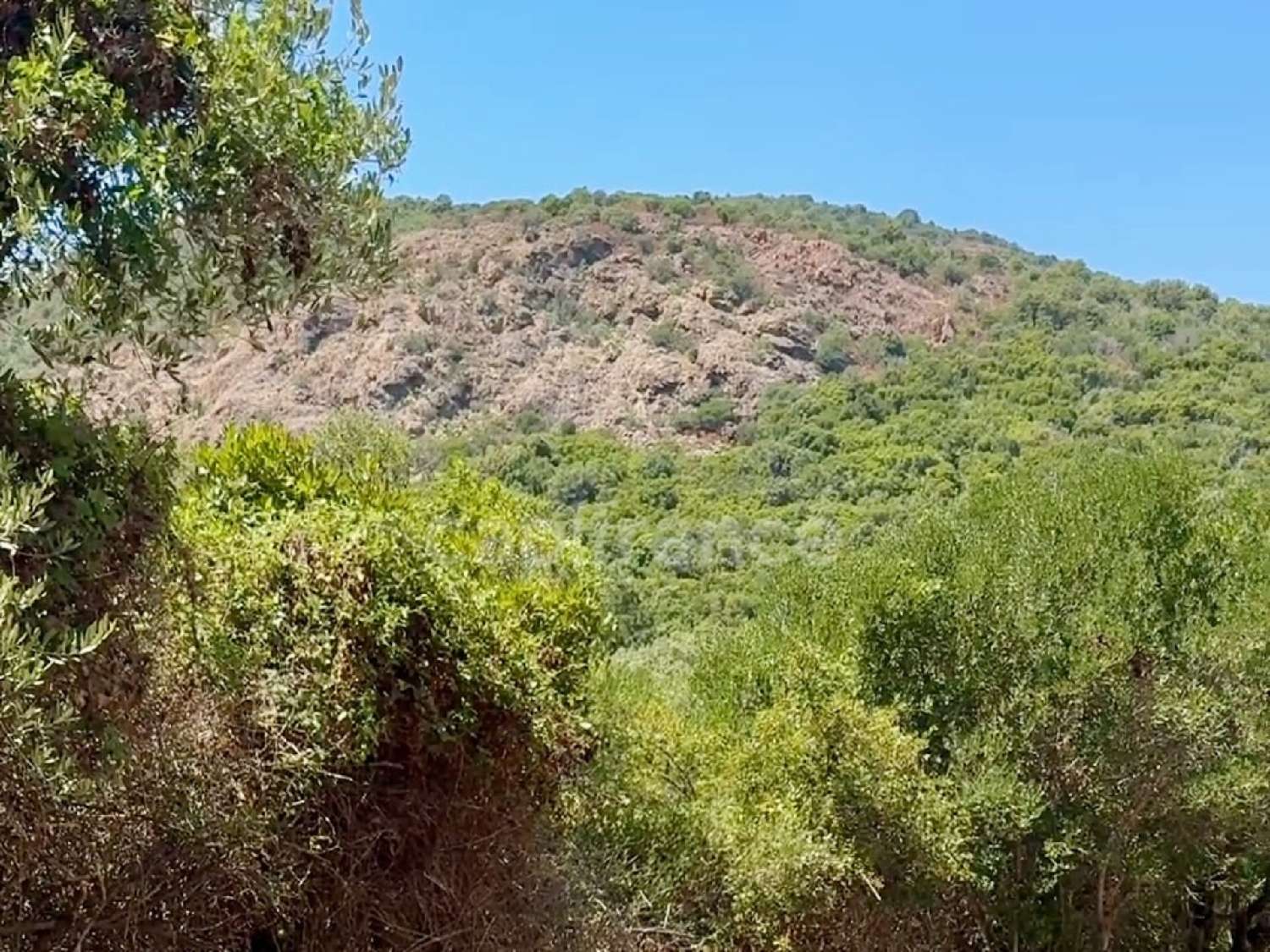 kaufen Grundstück Galeria Haute-Corse 3