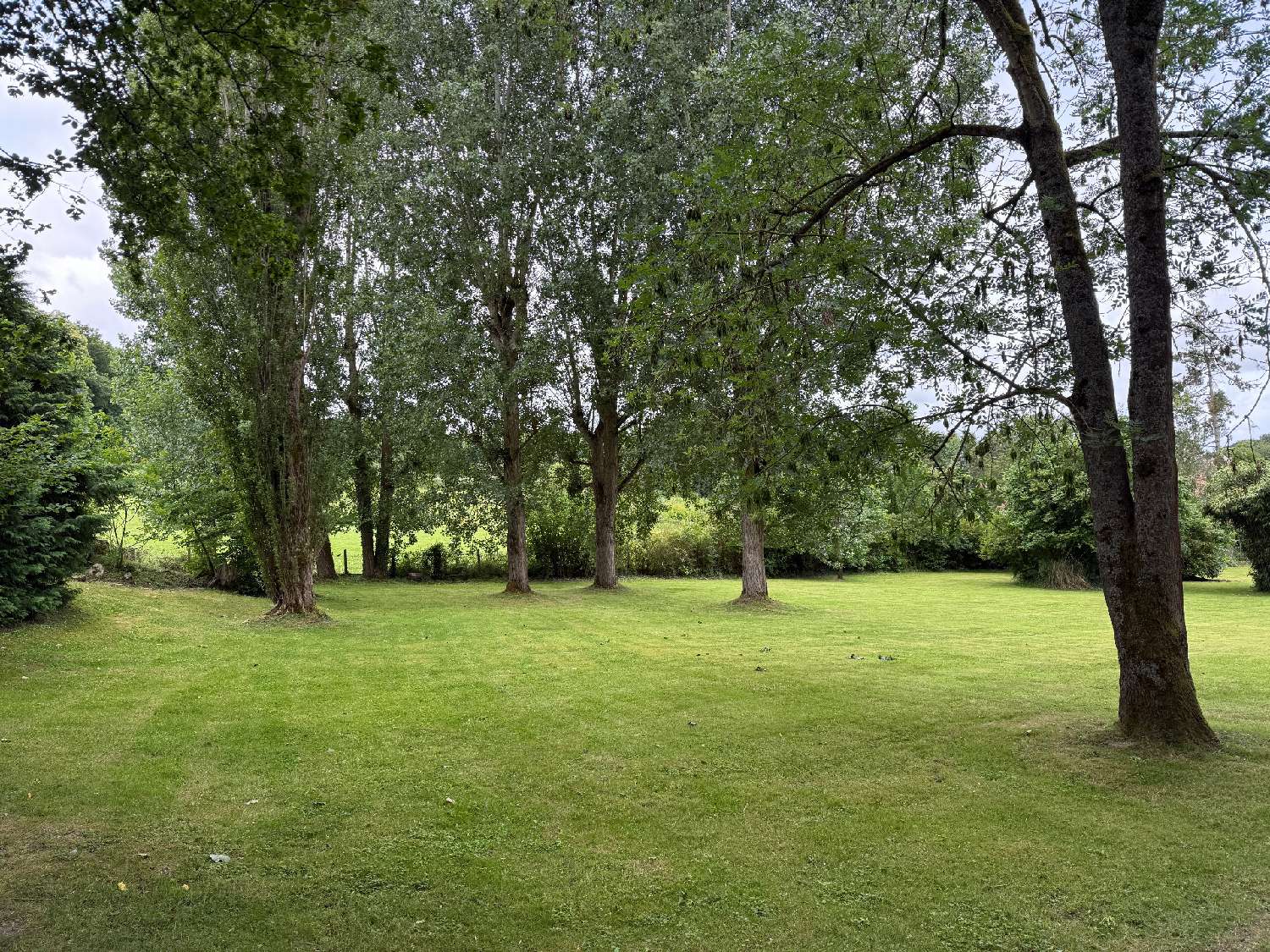 à vendre terrain Grisy-les-Plâtres Val-d'Oise 2