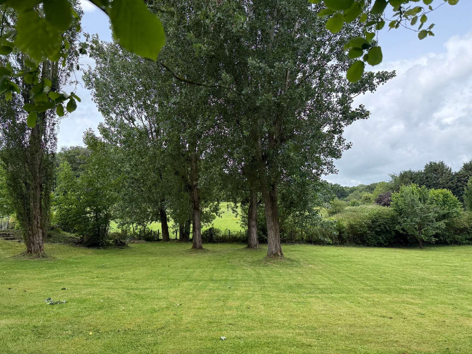 à vendre terrain Grisy-les-Plâtres Val-d'Oise 3