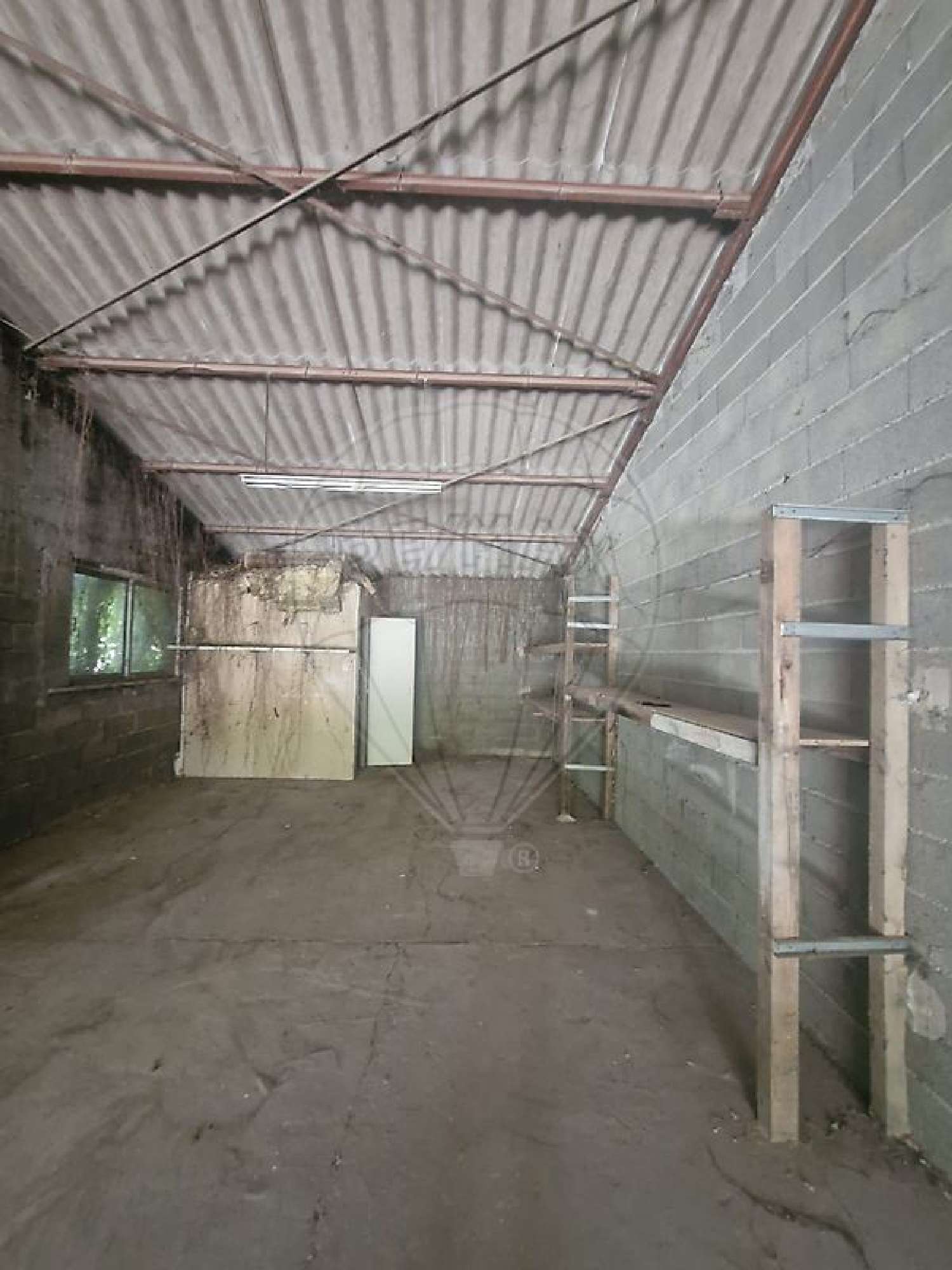 en venta terreno Guéreins Ain 5