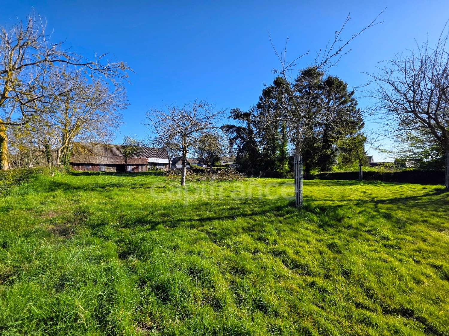 for sale terrain Guerville Seine-Maritime 3