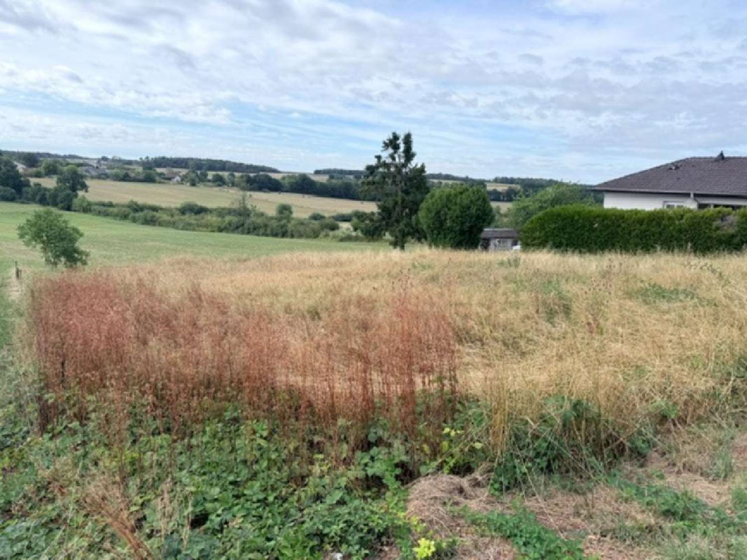 for sale terrain Harol Vosges 6