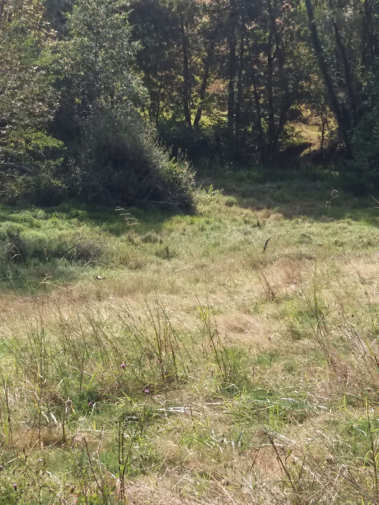 en venta terreno Orthez Pirineos Atlánticos 4