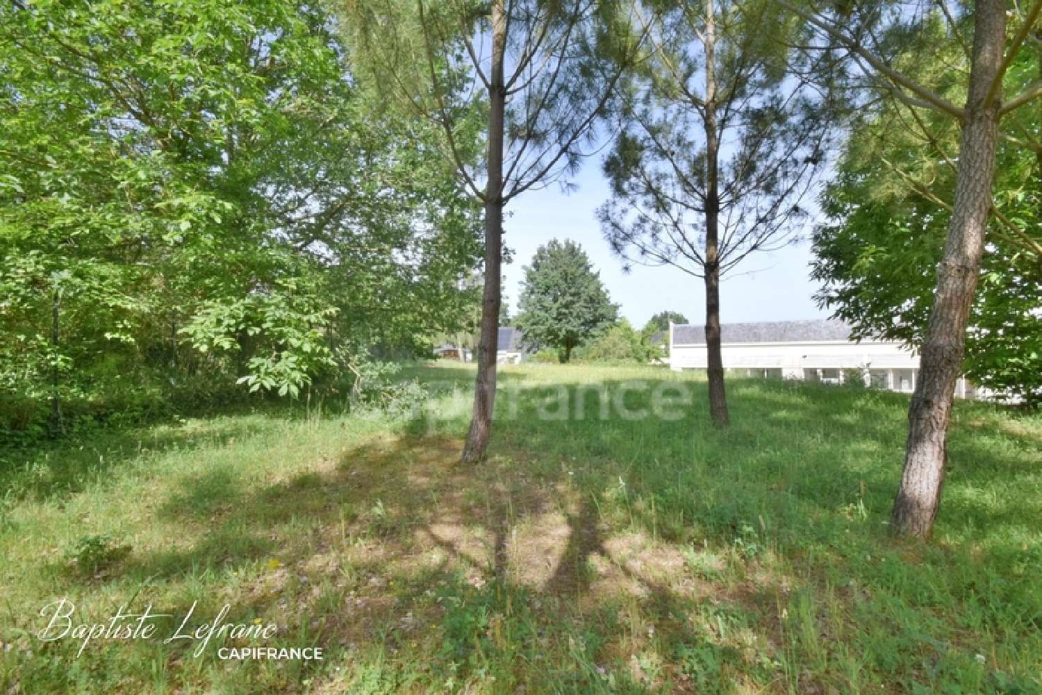 for sale terrain Jarzé Maine-et-Loire 6
