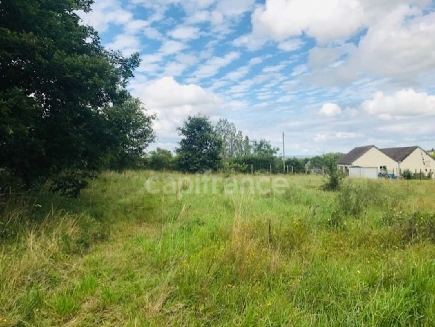 for sale terrain Jouet-sur-l'Aubois Cher 2
