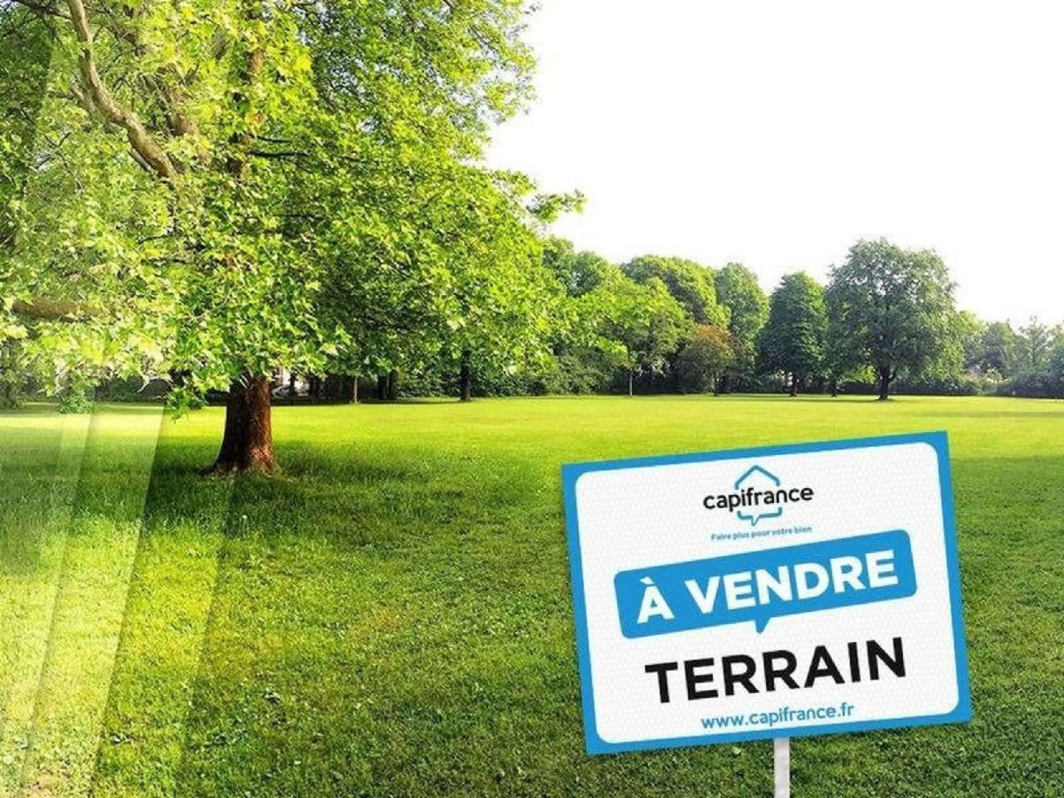  for sale terrain La Guerche-sur-l'Aubois Cher 1