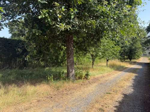 La Lande-Chasles Maine-et-Loire Grundstück Bild 7384469