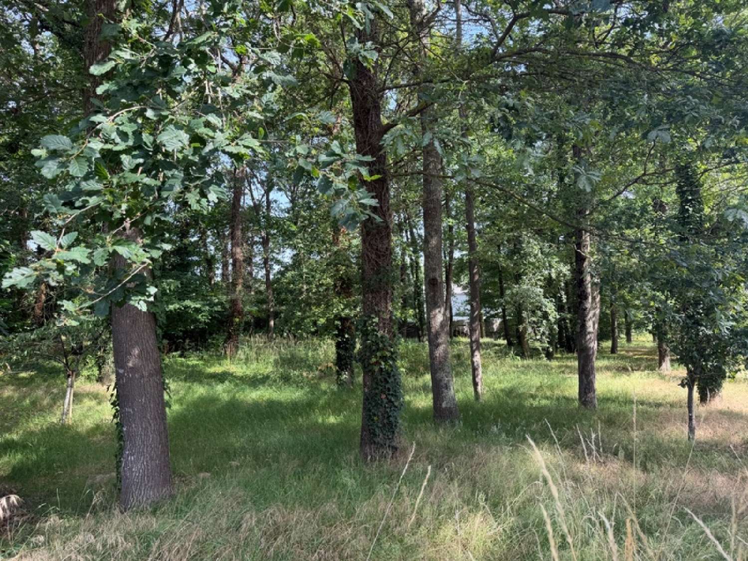 kaufen Grundstück La Lande-Chasles Maine-et-Loire 2
