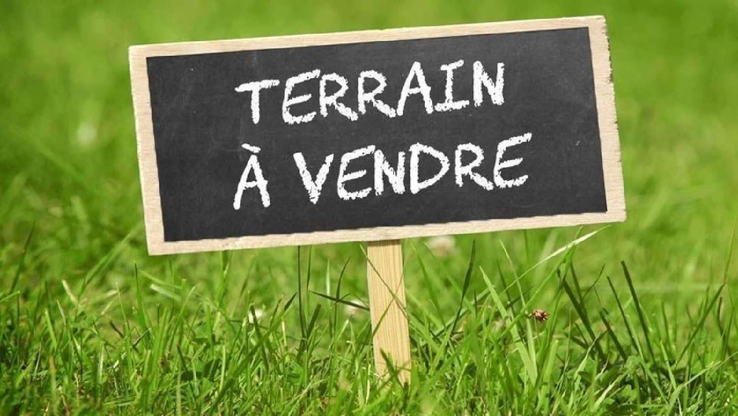 kaufen Grundstück La Lande-Chasles Maine-et-Loire 6