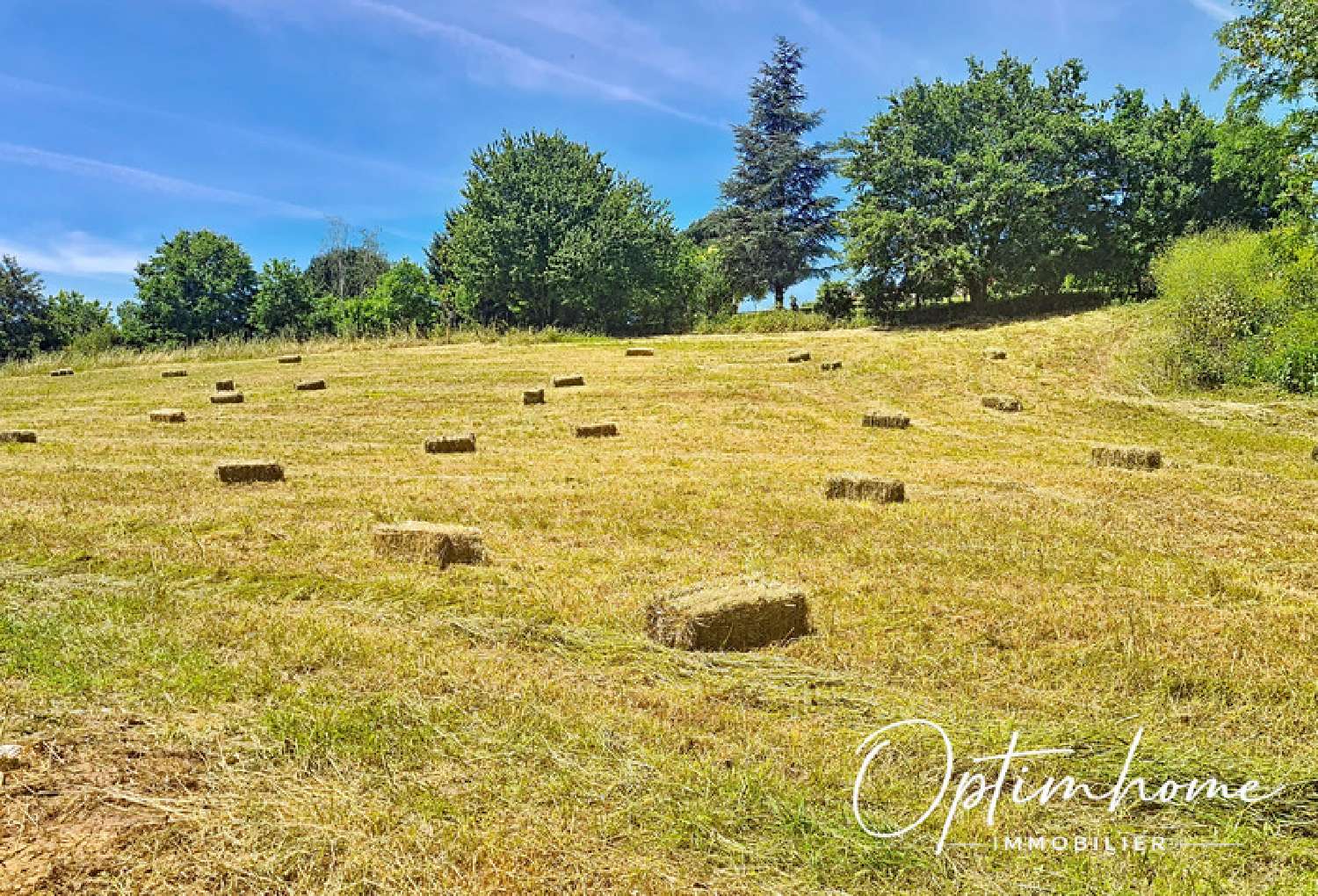 en venta terreno La Sauvetat-de-Savères Lot-et-Garonne 4
