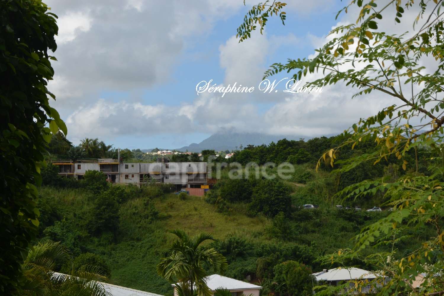 kaufen Grundstück La Trinité Martinique 6