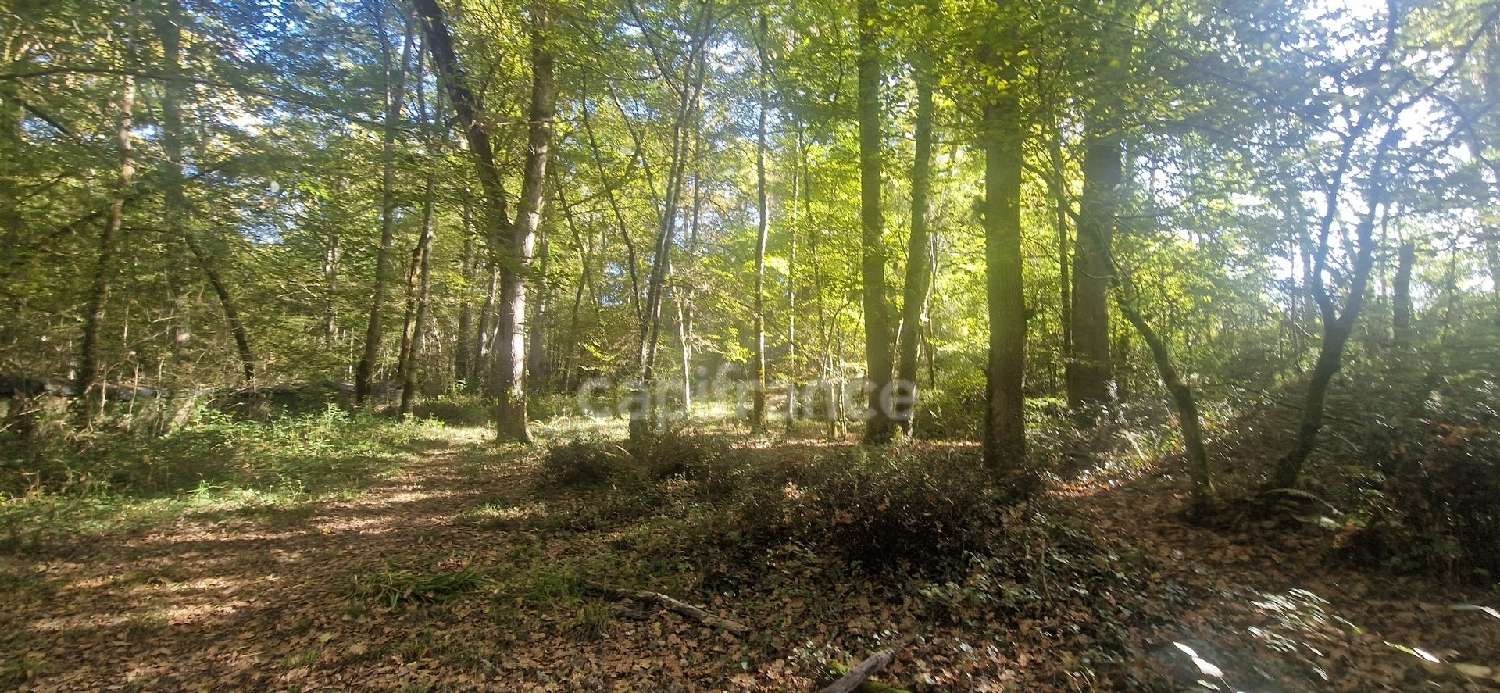  à vendre terrain Lagrange Landes 8