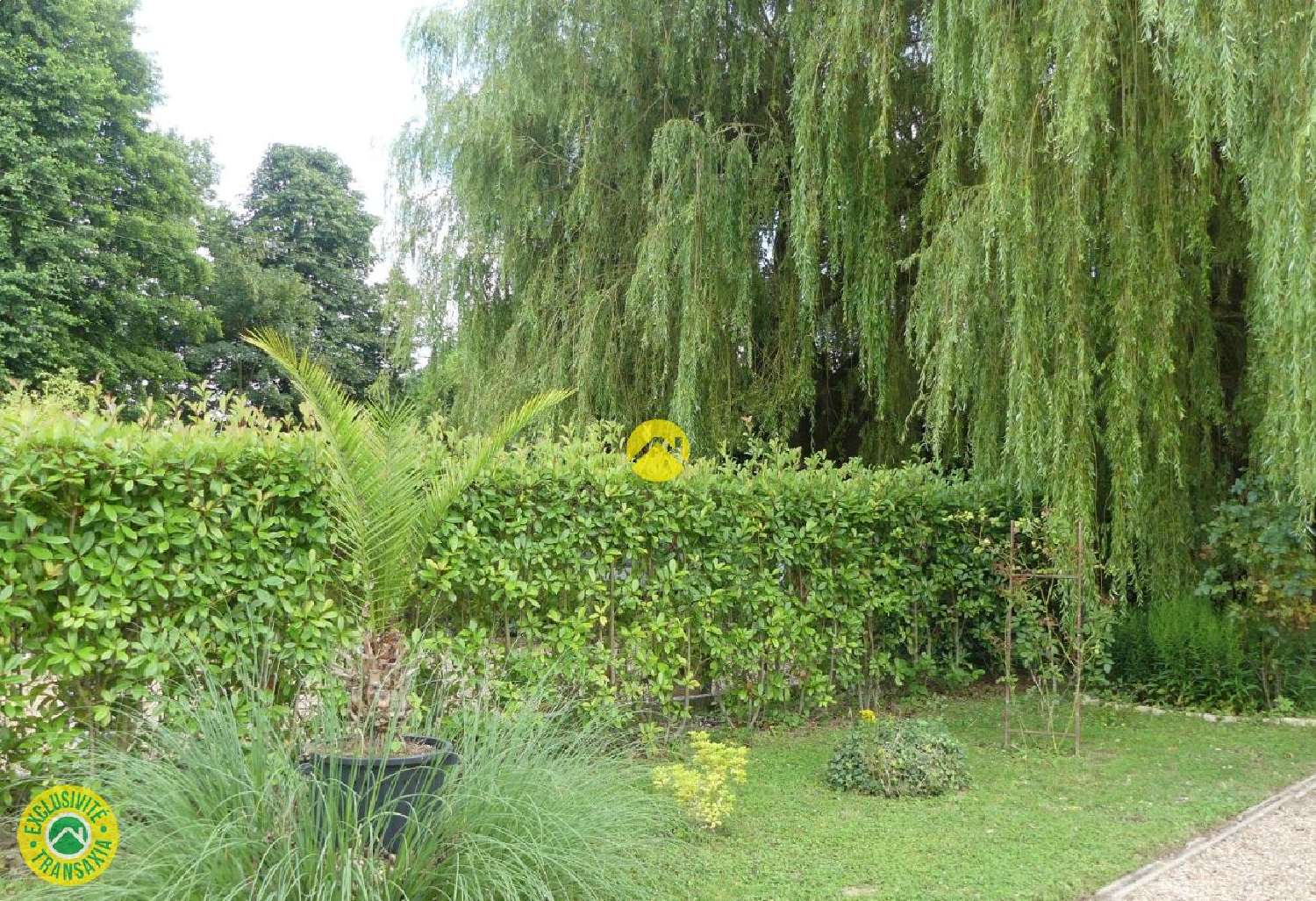 for sale terrain Langeais Indre-et-Loire 6