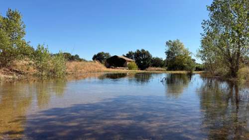 Le Pouget Hérault Grundstück Bild 7389365