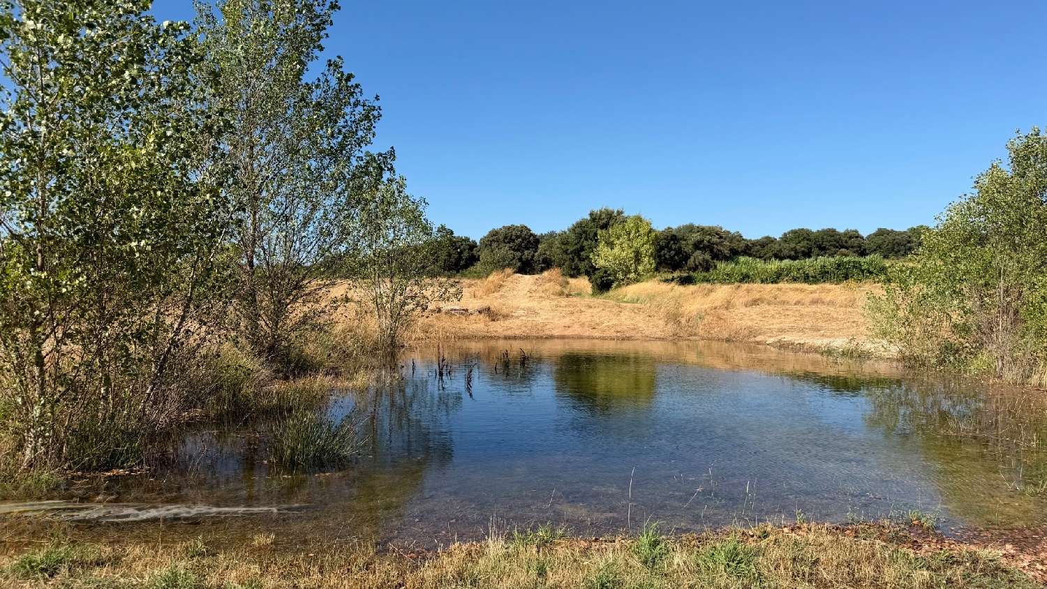 en venta terreno Le Pouget Hérault 7
