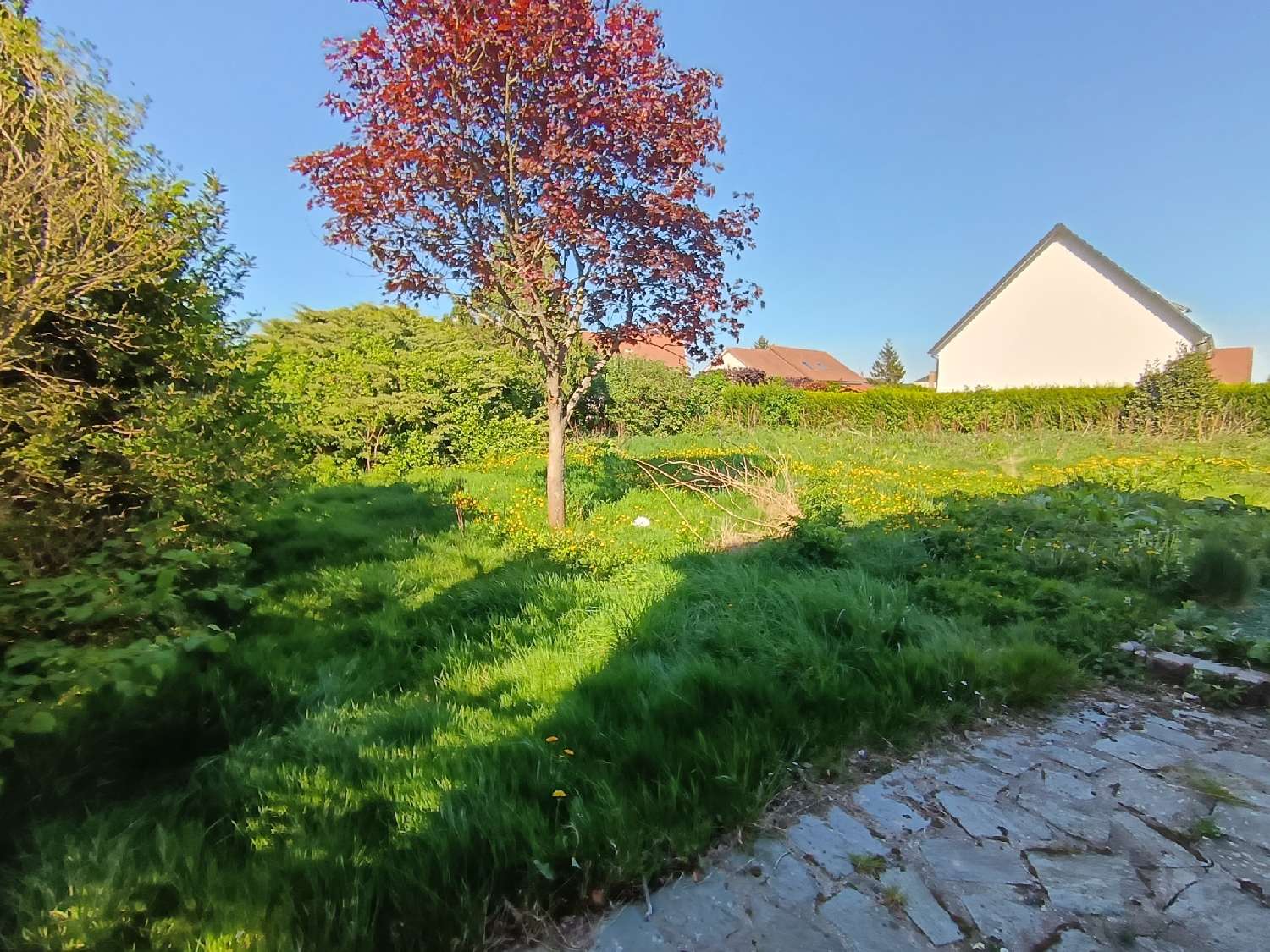 for sale terrain Les Trois Pierres Seine-Maritime 1