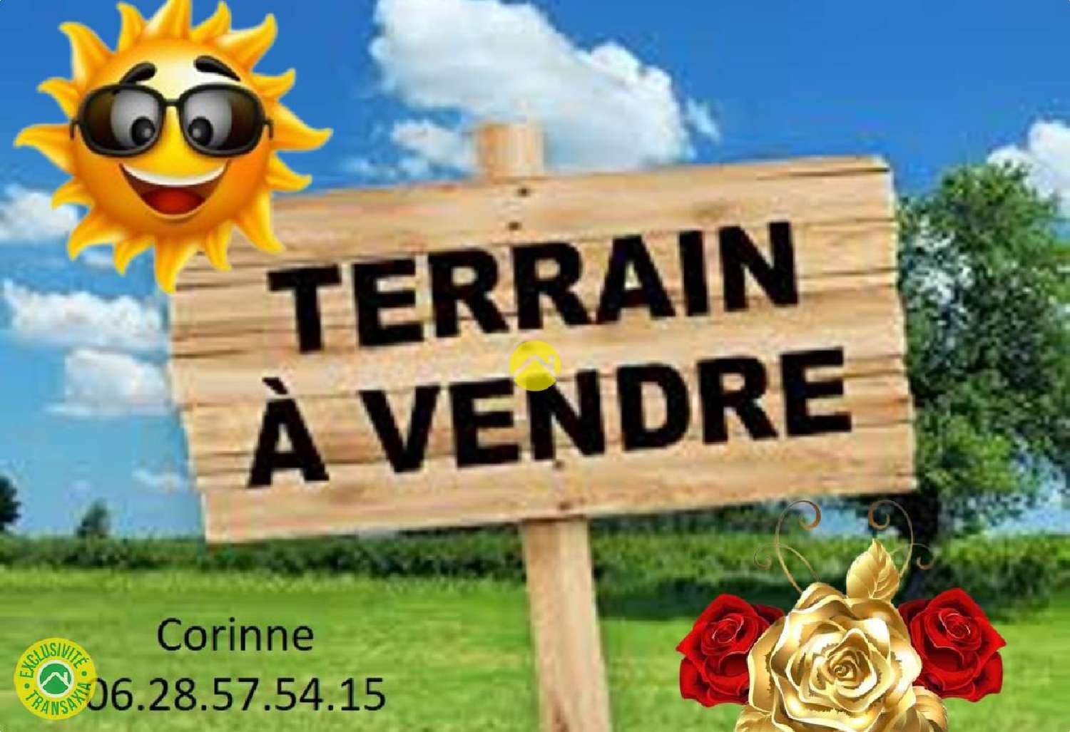 for sale terrain Lunery Cher 2