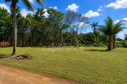 Macouria Guyane terrain foto 7400551